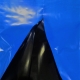 ldpe film blu nero
